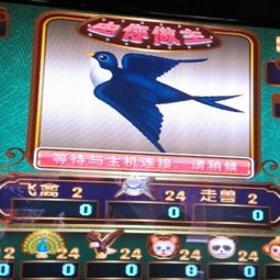 深耕動(dòng)漫游戲領(lǐng)域 廣州市番禺區(qū)東環(huán)魚皇動(dòng)漫產(chǎn)品開發(fā)部的專業(yè)供應(yīng)商之路